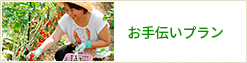お手伝いプラン