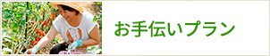 お手伝いプラン