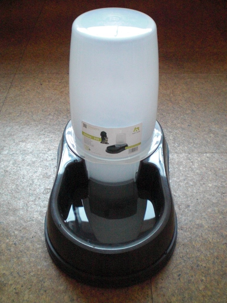 2008_0527_203653-CIMG5581