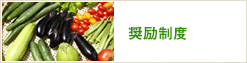 奨励制度